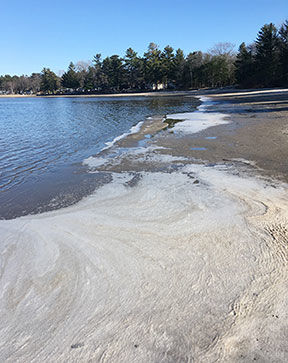 BLANKETING THE BEACH